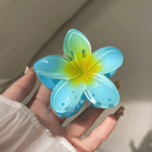 Pinces à Cheveux "HAWAÏ"